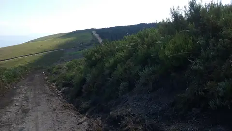 Traballos preventivos en montes de Carballeda de Valdeorras, A Pobra de Trives e A Veiga Traballos preventivos en montes de Carballeda de Valdeorras, A Pobra de Trives e A Veiga
