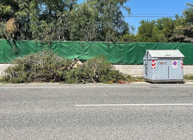 El Camp d’Elx tendrá antes del verano recogida puerta a puerta de restos de poda El Camp d’Elx tendrá antes del verano recogida puerta a puerta de restos de poda