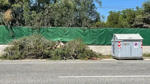 Restos de poda junto a un contenedor de basura en una pedanía de Elche. Restos de poda junto a un contenedor de basura en una pedanía de Elche.