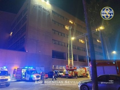 Ocho heridos leves en un incendio de un hotel de La Cartuja Ocho heridos leves en un incendio de un hotel de La Cartuja