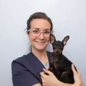 vetsicor vetsicor