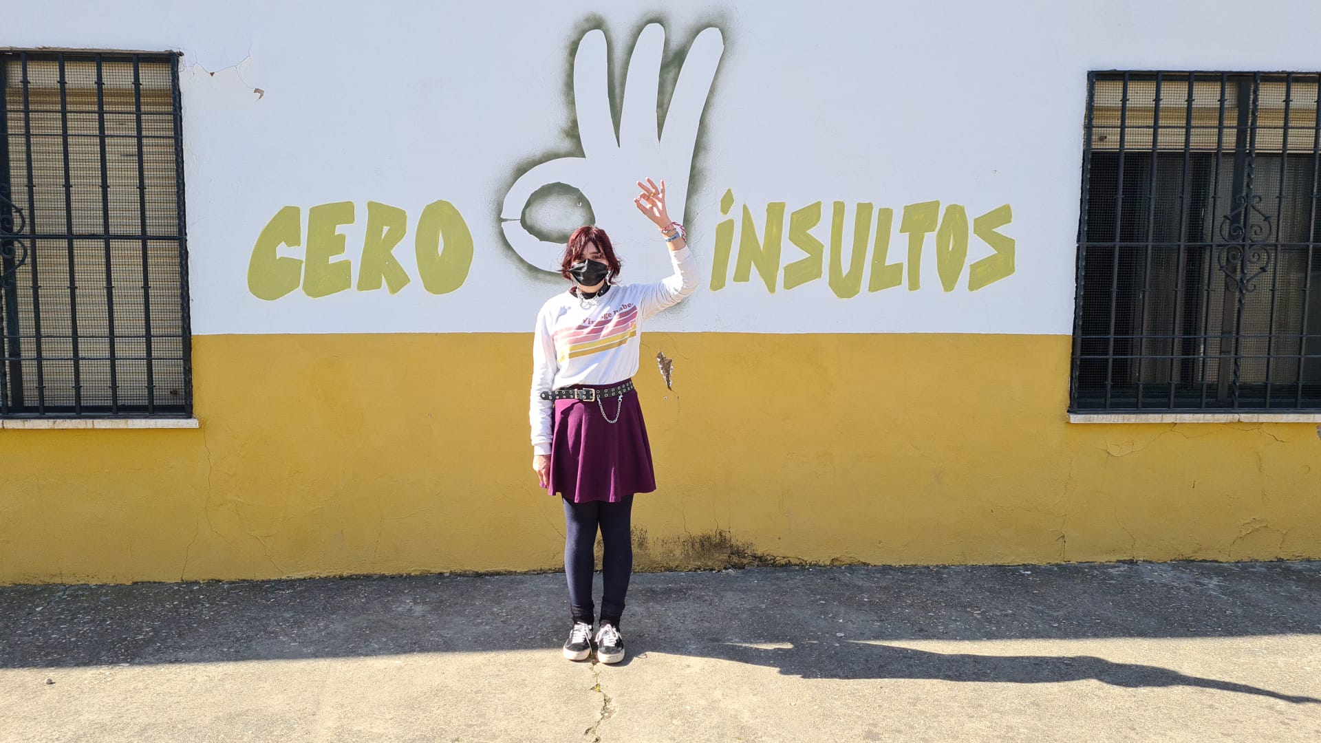 El proyecto de "Cero insultos" El proyecto de "Cero insultos"