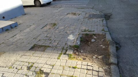 Vecinos de la calle Azucena denuncian el estado de las aceras y alcorques