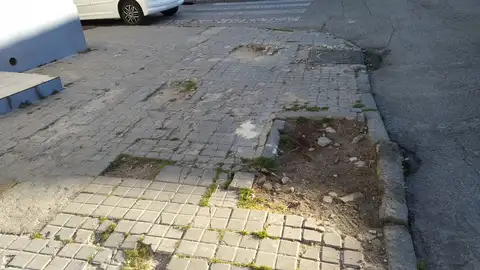 Vecinos de la calle Azucena denuncian el estado de las aceras y alcorques Vecinos de la calle Azucena denuncian el estado de las aceras y alcorques