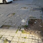 Vecinos de la calle Azucena denuncian el estado de las aceras y alcorques
