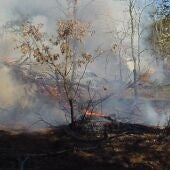 La Junta solicita extremar las precauciones y aplazar la quema de restos vegetales por la sequía