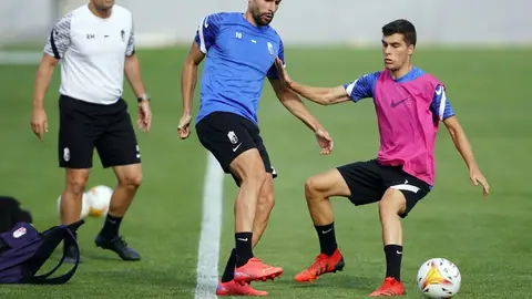entrenamiento entrenamiento