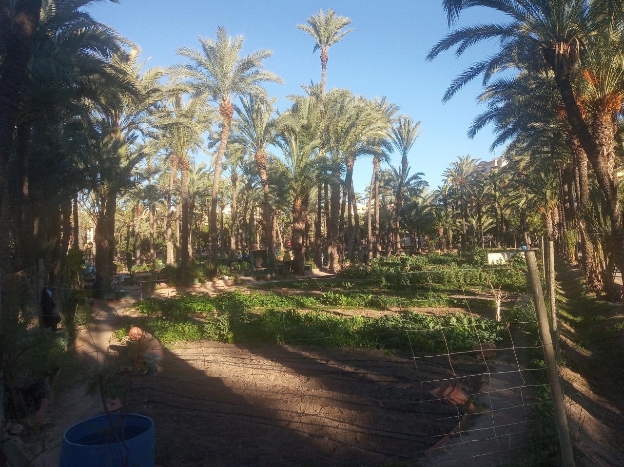 El sol se impone en los primeros días del mes de febrero en Elche, Santa Pola y Crevillent El sol se impone en los primeros días del mes de febrero en Elche, Santa Pola y Crevillent