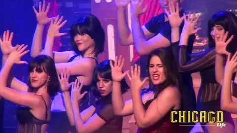 Chicago Life Chicago Life