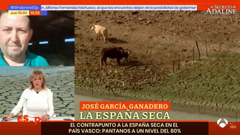José García De Mateos, ganadero de Ciudad Real, interviene en Espejo Público José García De Mateos, ganadero de Ciudad Real, interviene en Espejo Público