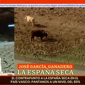 José García De Mateos, ganadero de Ciudad Real, interviene en Espejo Público José García De Mateos, ganadero de Ciudad Real, interviene en Espejo Público
