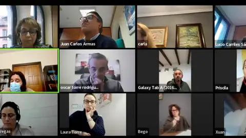 Imagen del pleno telemático de esta mañana Imagen del pleno telemático de esta mañana