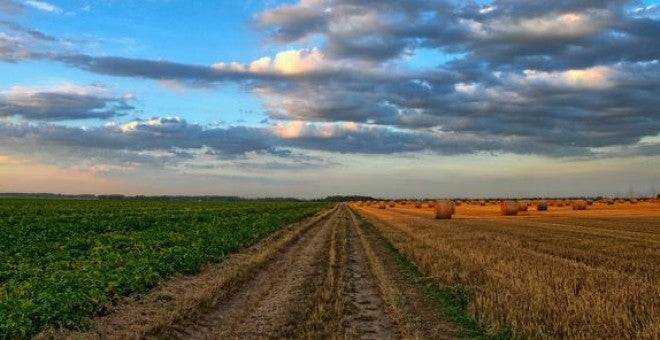 Los PERTE, enfocados a la revitalización del sector de la alimentación Los PERTE, enfocados a la revitalización del sector de la alimentación