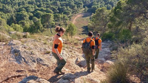 Proyecto V&iacute;aLynx