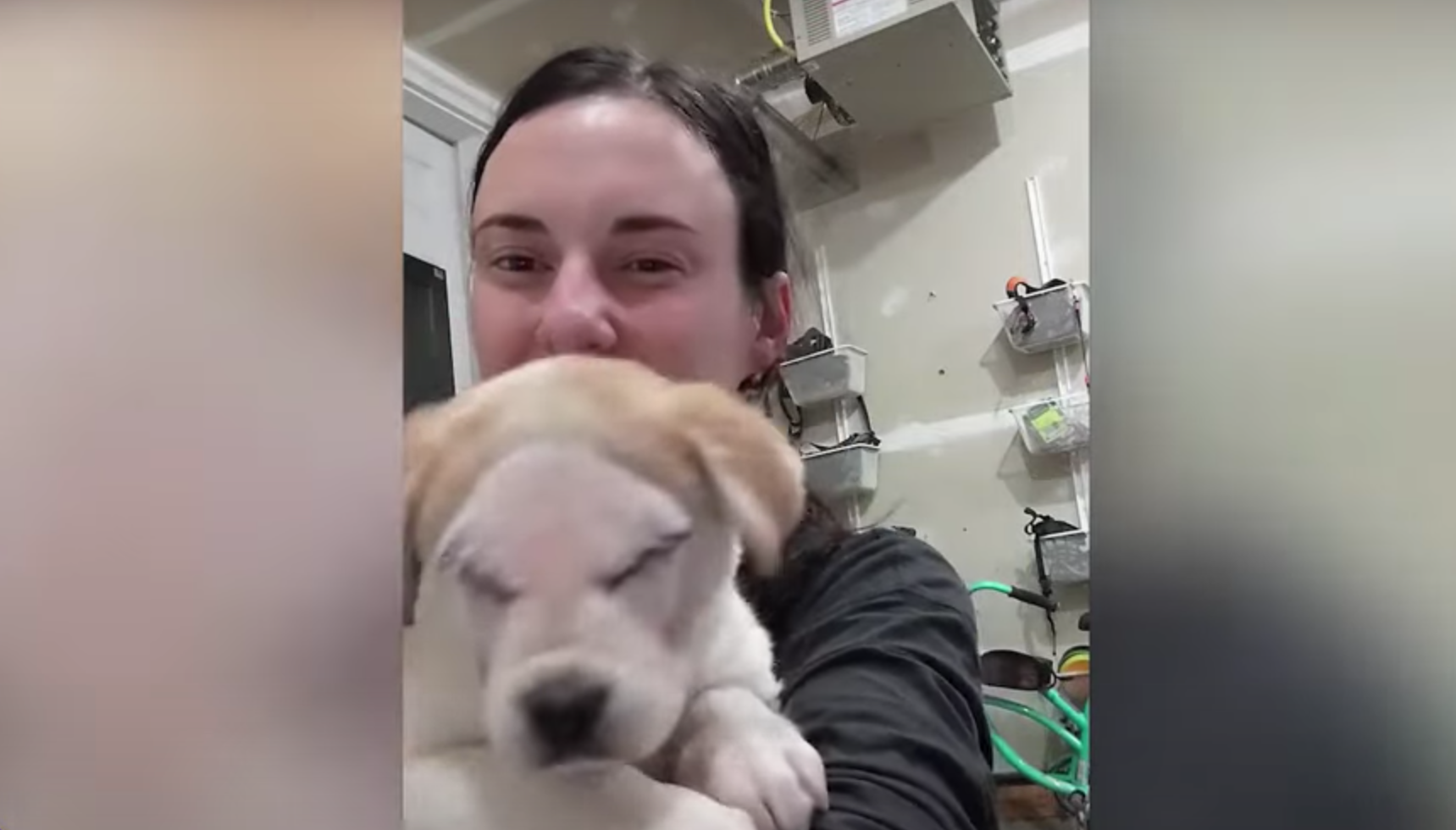 Stevie, el perro ciego: "Mamá Chayse me ha grabado en video y lo ha subido a internet para fomentar la adopción de perros con discapacidad" Stevie, el perro ciego: "Mamá Chayse me ha grabado en video y lo ha subido a internet para fomentar la adopción de perros con discapacidad"
