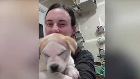 Fotograma de un v&iacute;deo de Stevie con su due&ntilde;a