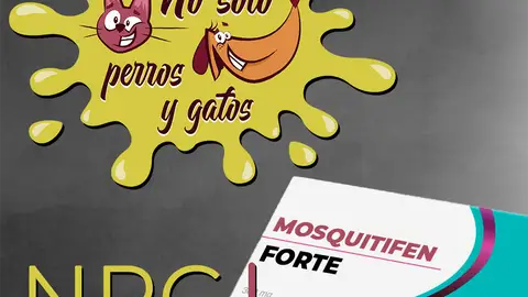No Solo Perros y Gatos T03xE9: Mosquitifen Forte No Solo Perros y Gatos T03xE9: Mosquitifen Forte