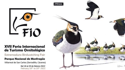 Cartel FIO 2022