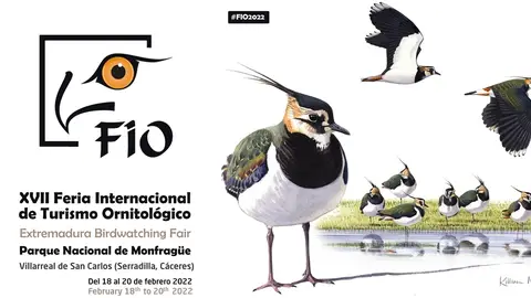 Cartel FIO 2022 Cartel FIO 2022