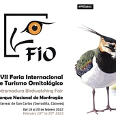 Cartel FIO 2022 Cartel FIO 2022