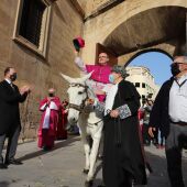 El nuevo Obispo cumple la tradición y cruza la Puerta de la Olma a lomos de una mula blanca    