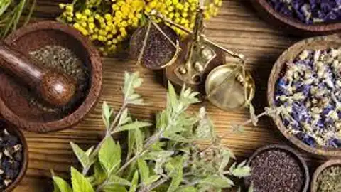 La Farmacia en Casa, fitoterapia La Farmacia en Casa, fitoterapia