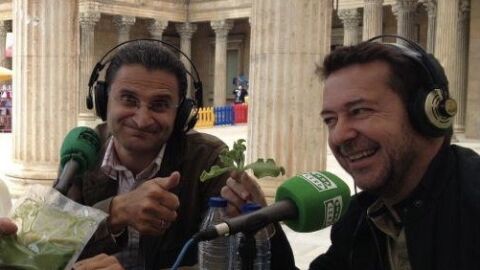 M&aacute;s de uno Alicante