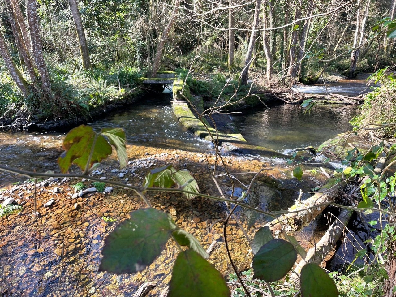 Comienzan los actos previos a la demolición de presas en el río Turia Comienzan los actos previos a la demolición de presas en el río Turia