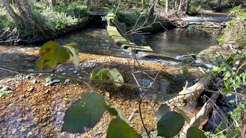 Río Turia en A Pontenova Planeta Verde