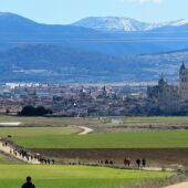 Asociación Amigos del Camino de Santiago