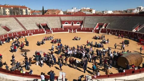 Brindis Universal 22-02-2022