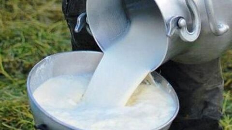 Leche orde&ntilde;ada