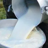 Leche ordeñada Leche ordeñada