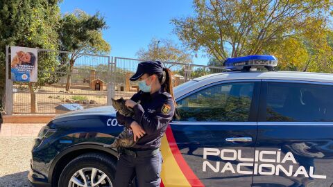 Una agente sostiene en brazos a un gato Una agente sostiene en brazos a un gato
