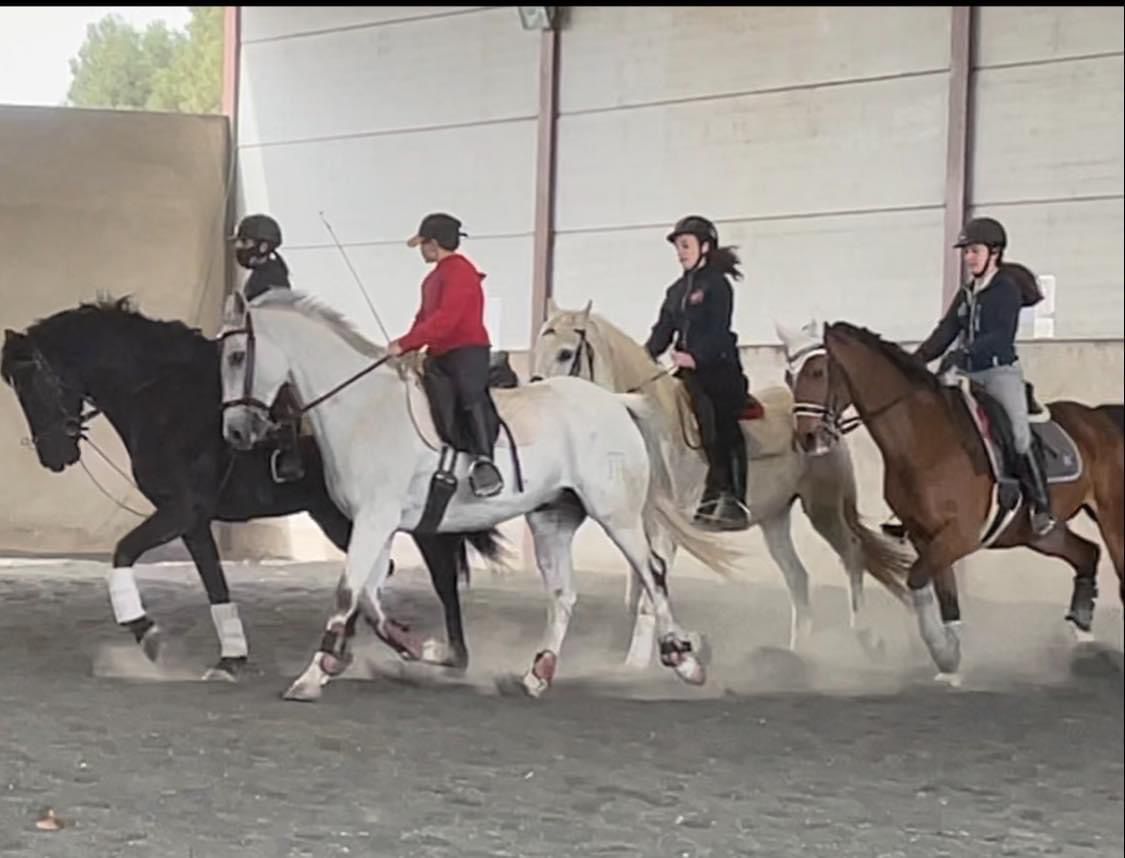 "Margó" celebra día de puertas abiertas y recupera toda su actividad "Margó" celebra día de puertas abiertas y recupera toda su actividad