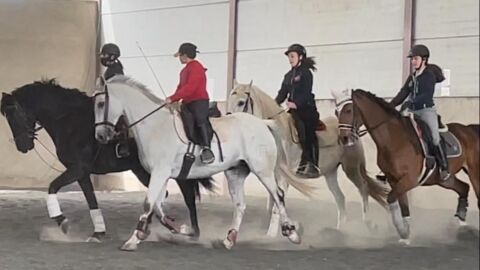 H&iacute;pica Marg&oacute;