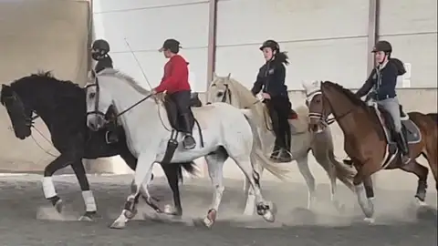 Hípica Margó Hípica Margó