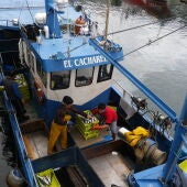 Avocano, pescadores asturianos de segunda o tercera en pesquería caballa.