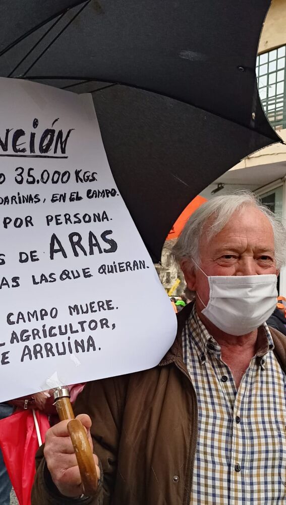 Raimundo regala sus mandarinas sin recolectar