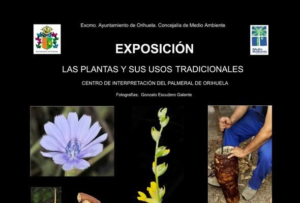 El Centro de Interpretación del Palmeral acoge una exposición sobre las plantas y sus usos tradicionales El Centro de Interpretación del Palmeral acoge una exposición sobre las plantas y sus usos tradicionales