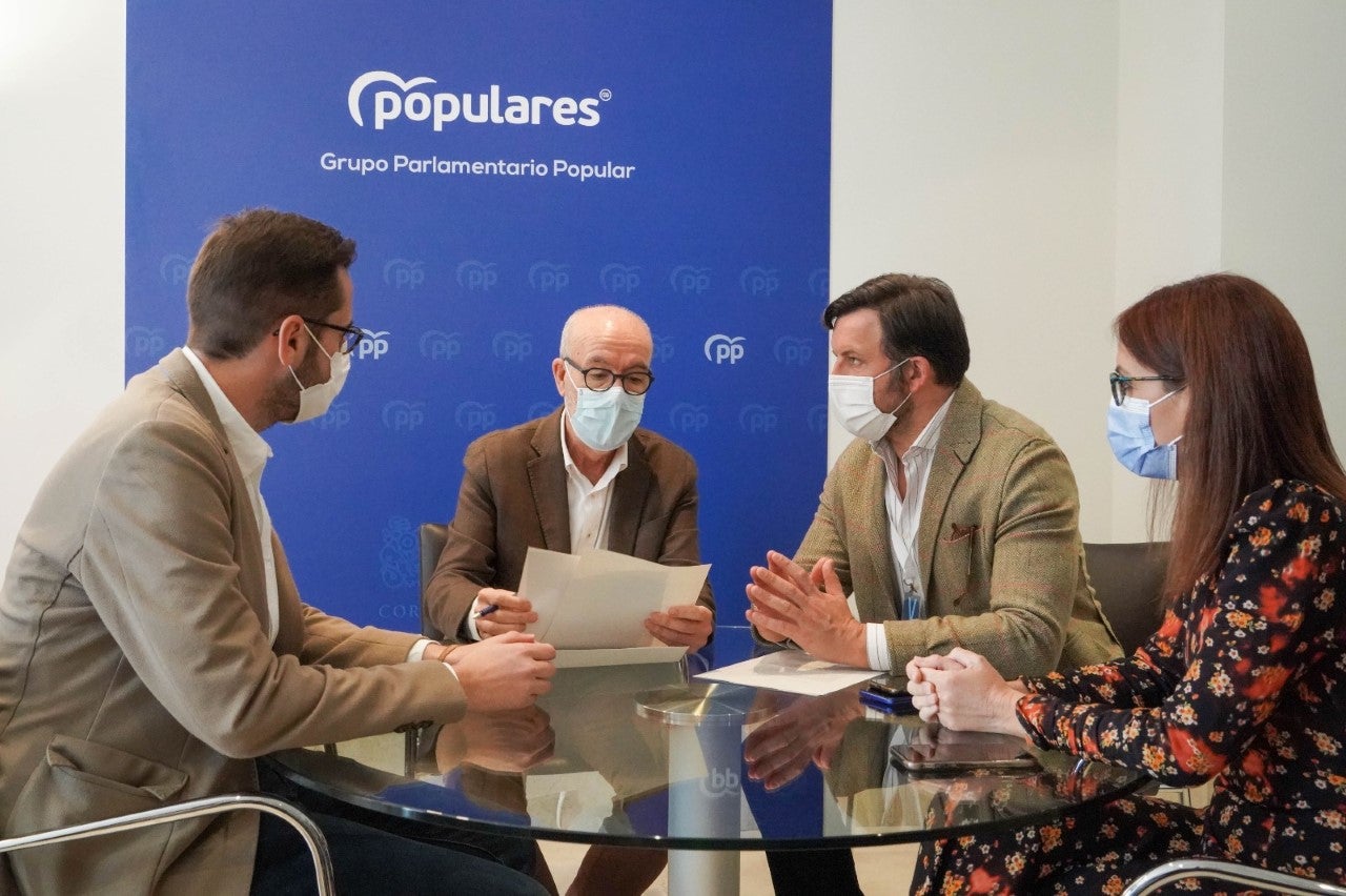 El PP de Elche lleva la protección de Las Clarisas a Les Corts El PP de Elche lleva la protección de Las Clarisas a Les Corts