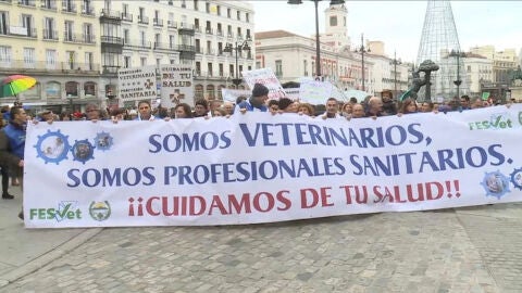 Manifestaci&oacute;n de veterinarios