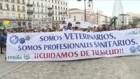Manifestación de veterinarios Manifestación de veterinarios
