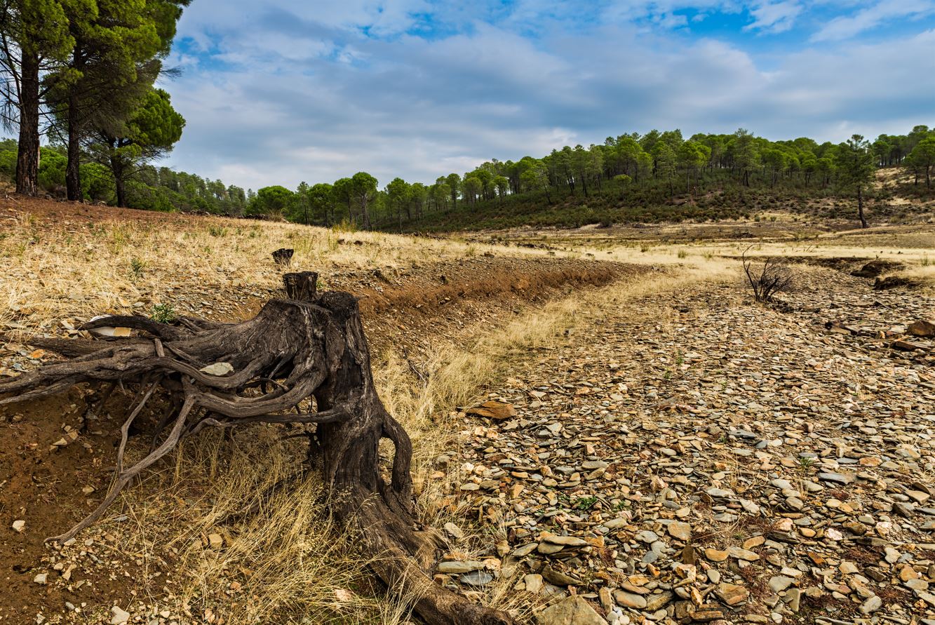 A la espera de las lluvias los embalses extremeños siguen a la baja A la espera de las lluvias los embalses extremeños siguen a la baja