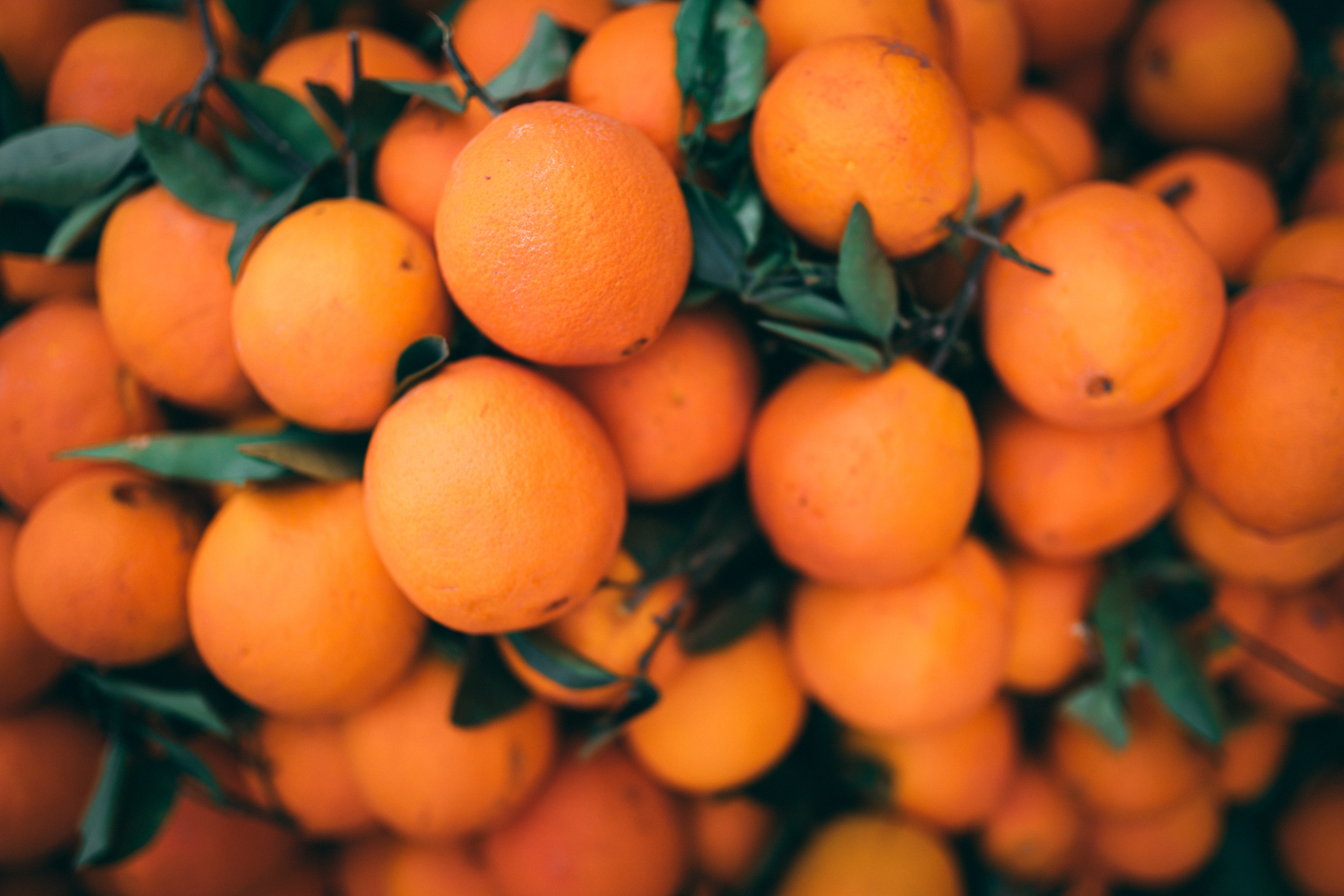¿Cómo saber qué naranjas están listas para comer? ¿Cómo saber qué naranjas están listas para comer?