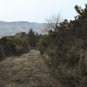 Camino Andatza