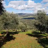 ASAJA denuncia robos en el campo ASAJA denuncia robos en el campo