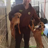 EJIDO EJIDO
