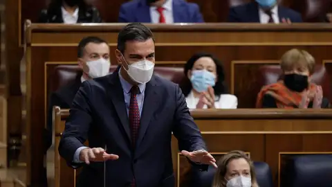 Pedro Sánchez, en el Congreso de los Diputados. Pedro Sánchez, en el Congreso de los Diputados. / Efe