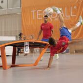 Teqball